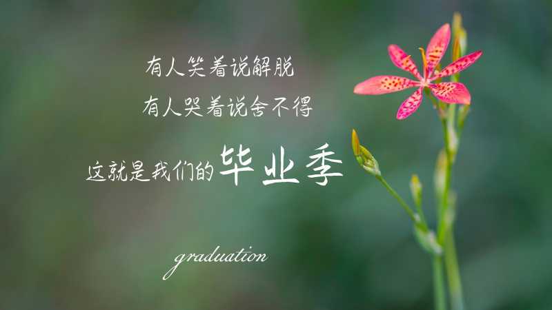 立春有哪些活动呢|立春活动