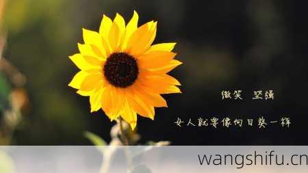 12星座职场毛遂自荐术